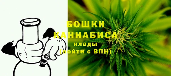 стаф Богородск