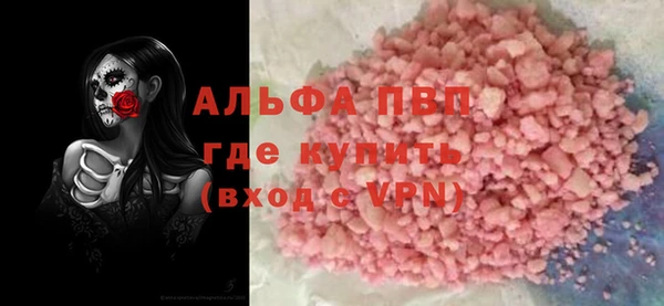 спайс Богданович