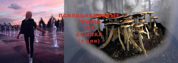 стаф Богородск