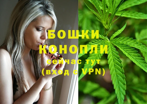 бошки Богородицк