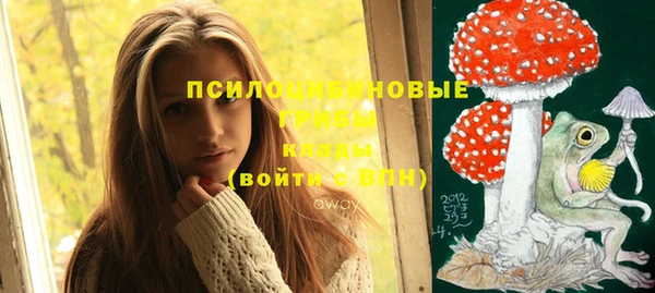 спайс Богданович