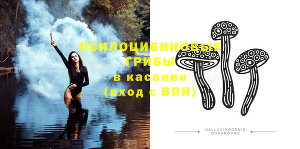 спайс Богданович