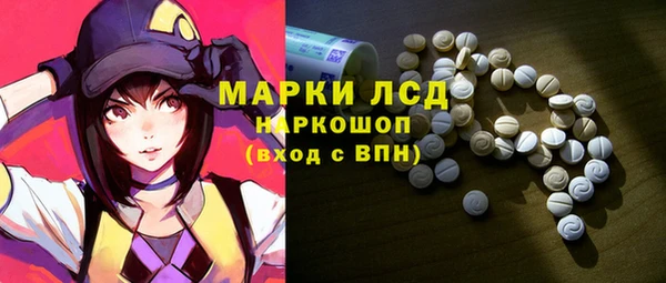 спайс Богданович