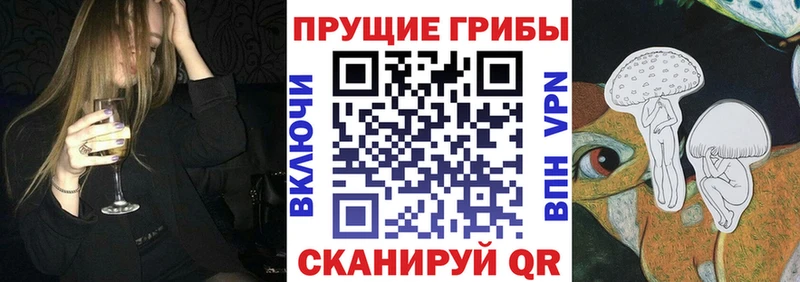 Псилоцибиновые грибы Psilocybine cubensis  Белоярский 