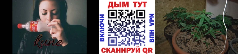 MEGA ONION  Белоярский  Каннабис сатива  продажа наркотиков 